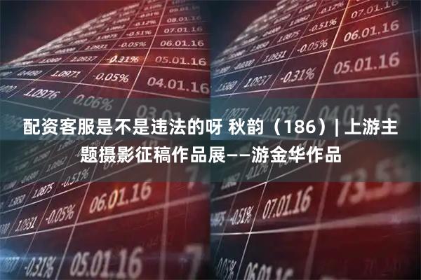 配资客服是不是违法的呀 秋韵（186）| 上游主题摄影征稿作品展——游金华作品