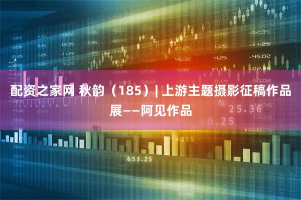 配资之家网 秋韵（185）| 上游主题摄影征稿作品展——阿见作品